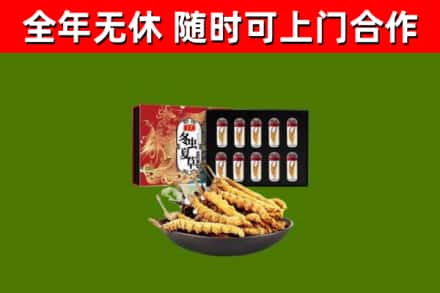 永定烟酒回收冬虫夏草礼盒.jpg